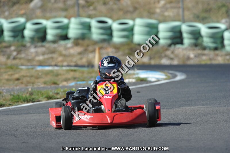 DSC (1127).JPG